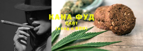 амф Верхний Тагил