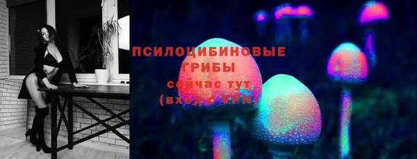 прущая мука Верея