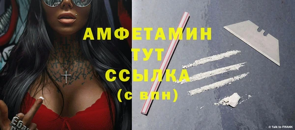 амф Верхний Тагил
