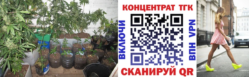 ТГК концентрат  Вязники 
